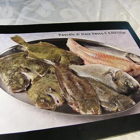 酒店 塞雷纳酒店