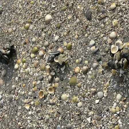 酒店 塞雷纳酒店 3*